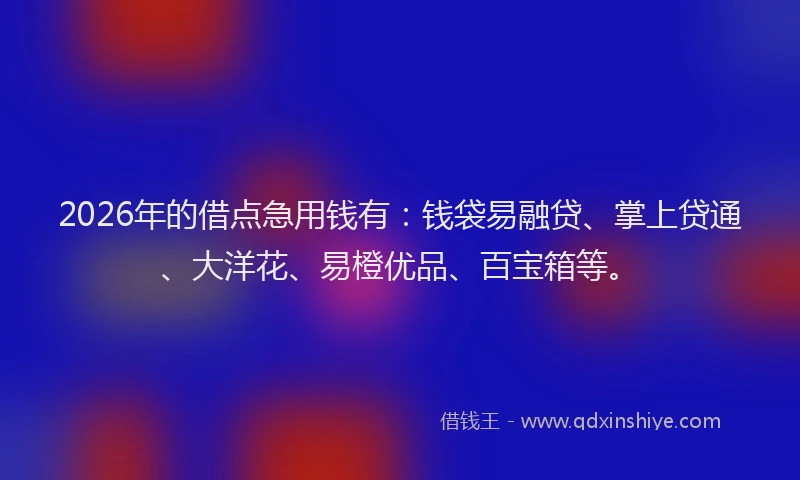 2026年的借点急用钱有:钱袋易融贷、掌上贷通、大洋花、易橙优品、百宝箱等。