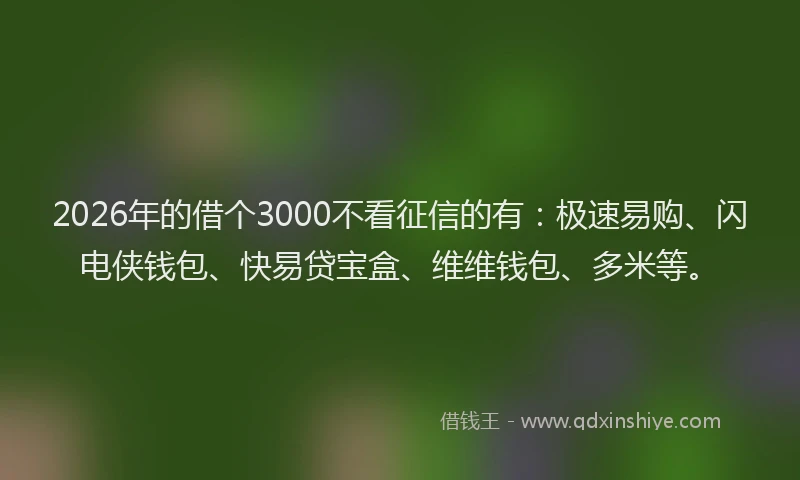 2026年的借个3000不看征信的有：极速易购、闪电侠钱包、快易贷宝盒、维维钱包、多米等。