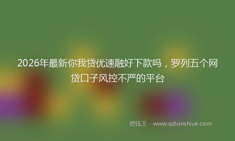 2026年最新你我贷优速融好下款吗，罗列五个网贷口子风控不严的平台