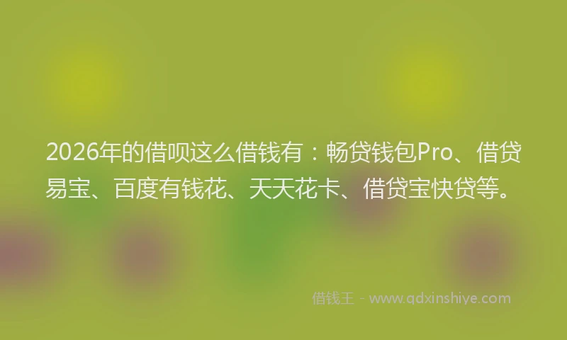 2026年的借呗这么借钱有：畅贷钱包Pro、借贷易宝、百度有钱花、天天花卡、借贷宝快贷等。