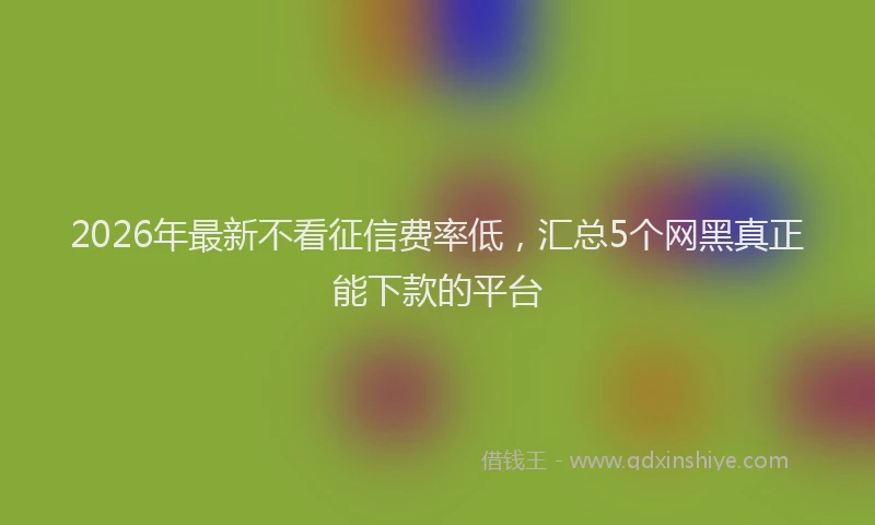 2026年最新不看征信费率低，汇总5个网黑真正能下款的平台
