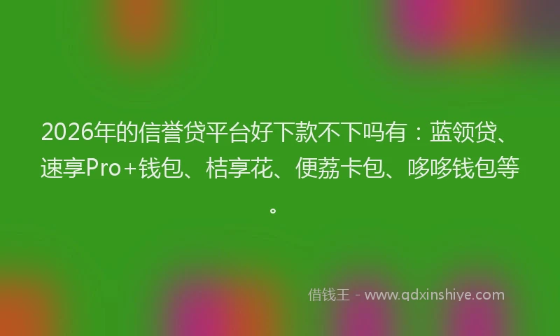 2026年的信誉贷平台好下款不下吗有：蓝领贷、速享Pro+钱包、桔享花、便荔卡包、哆哆钱包等。