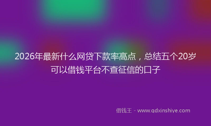 2026年最新什么网贷下款率高点,总结五个20岁可以借钱平台不查征信的口子