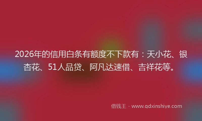 2026年的信用白条有额度不下款有：天小花、银杏花、51人品贷、阿凡达速借、吉祥花等。