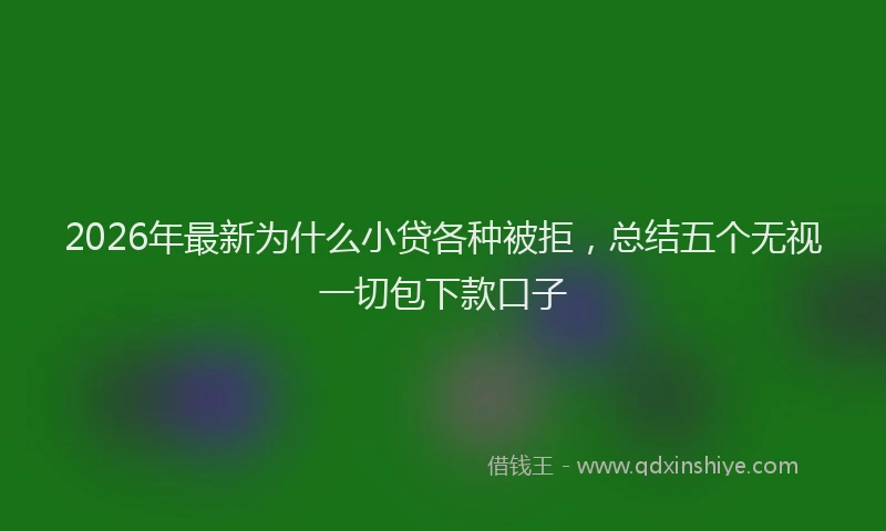 2026年最新为什么小贷各种被拒,总结五个无视一切包下款口子