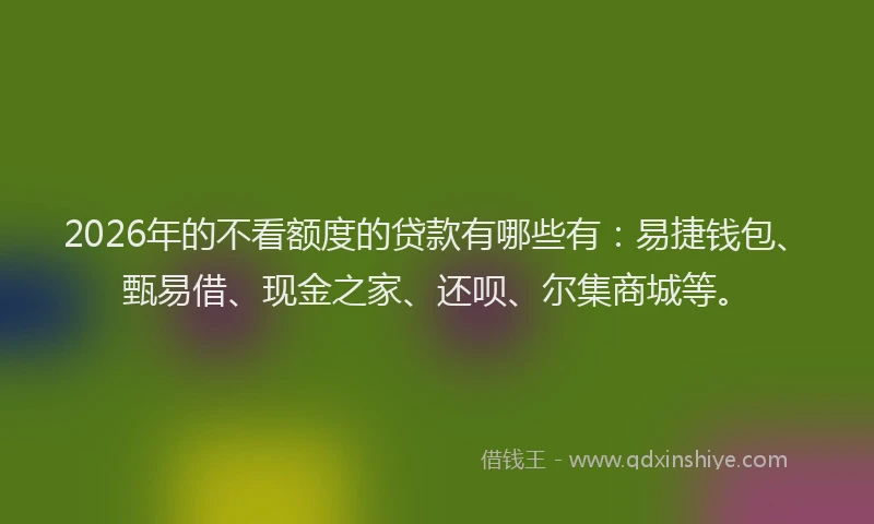 2026年的不看额度的贷款有哪些有：易捷钱包、甄易借、现金之家、还呗、尔集商城等。