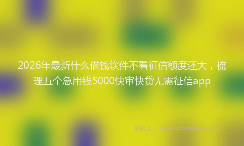 2026年最新什么借钱软件不看征信额度还大，梳理五个急用钱5000快审快贷无需征信app