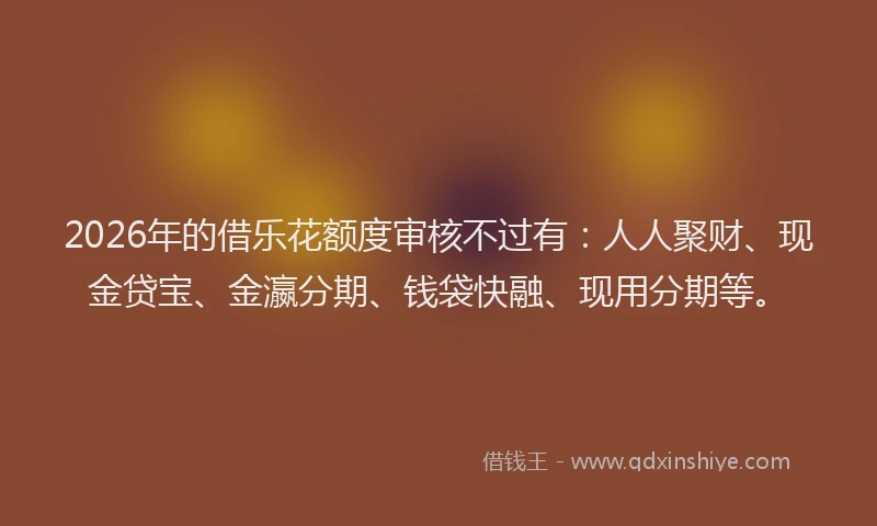 2026年的借乐花额度审核不过有：人人聚财、现金贷宝、金瀛分期、钱袋快融、现用分期等。