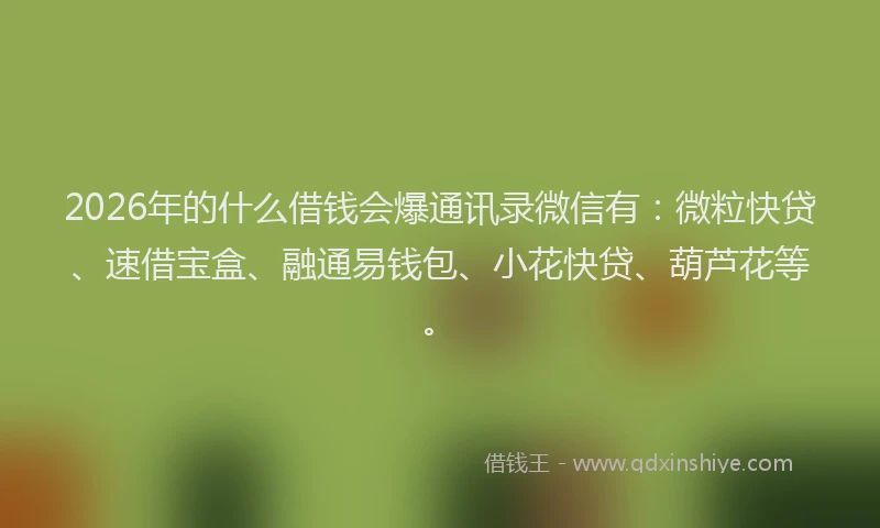 2026年的什么借钱会爆通讯录微信有:微粒快贷、速借宝盒、融通易钱包、小花快贷、葫芦花等。