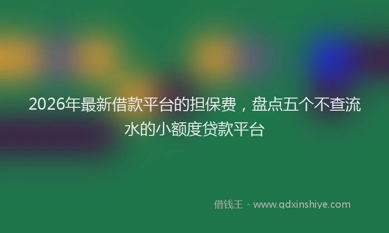 2026年最新借款平台的担保费，盘点五个不查流水的小额度贷款平台