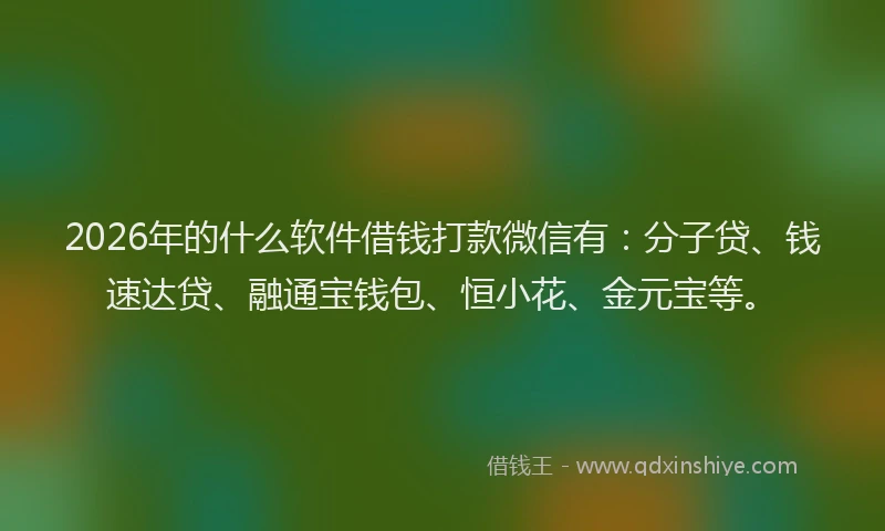 2026年的什么软件借钱打款微信有：分子贷、钱速达贷、融通宝钱包、恒小花、金元宝等。