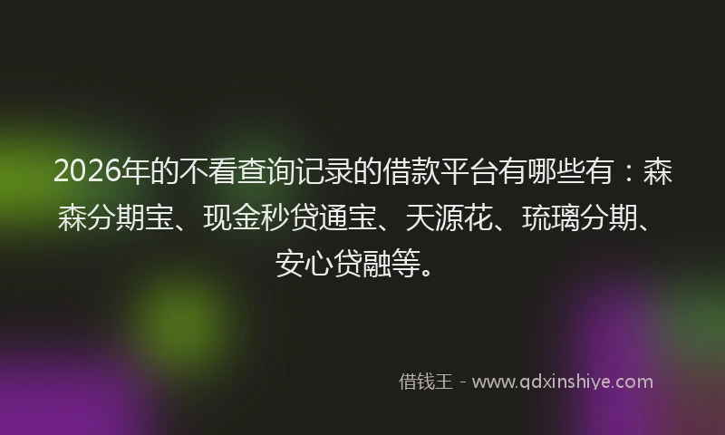 2026年的不看查询记录的借款平台有哪些有：森森分期宝、现金秒贷通宝、天源花、琉璃分期、安心贷融等。