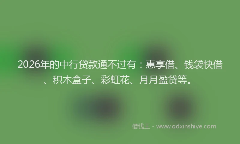 2026年的中行贷款通不过有：惠享借、钱袋快借、积木盒子、彩虹花、月月盈贷等。