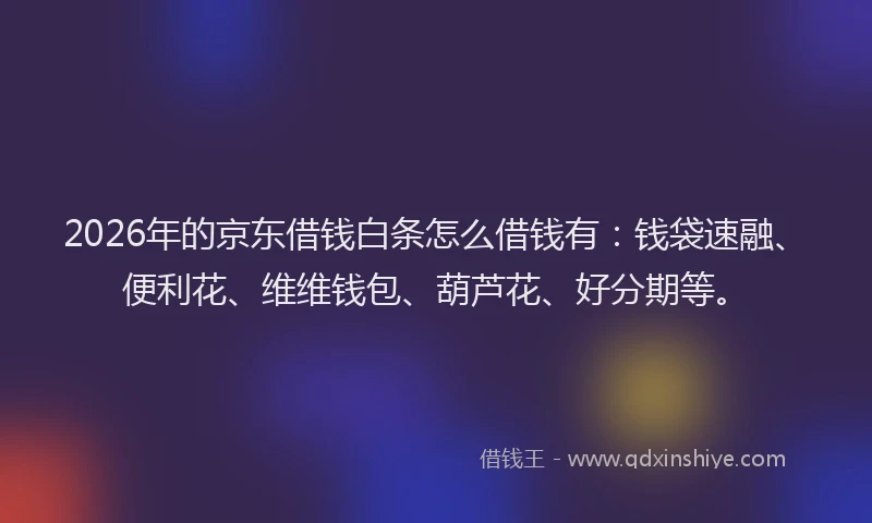2026年的京东借钱白条怎么借钱有:钱袋速融、便利花、维维钱包、葫芦花、好分期等。