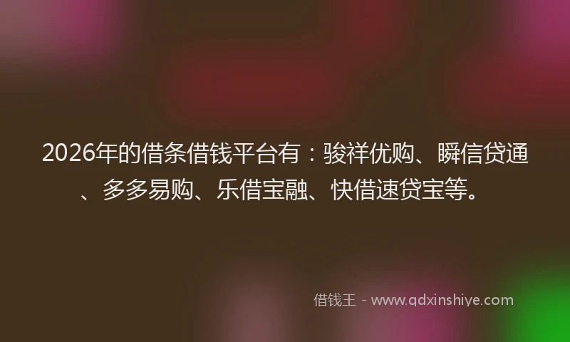 2026年的借条借钱平台有：骏祥优购、瞬信贷通、多多易购、乐借宝融、快借速贷宝等。