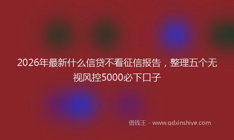 2026年最新什么信贷不看征信报告，整理五个无视风控5000必下口子