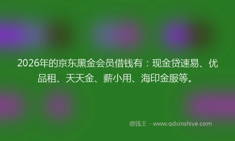 2026年的京东黑金会员借钱有：现金贷速易、优品租、天天金、薪小用、海印金服等。
