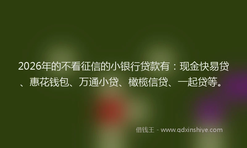 2026年的不看征信的小银行贷款有：现金快易贷、惠花钱包、万通小贷、橄榄信贷、一起贷等。
