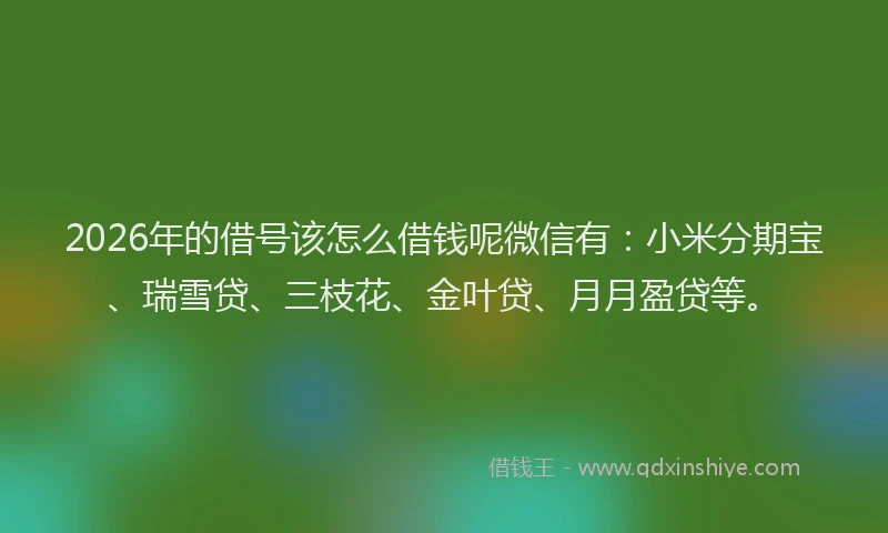 2026年的借号该怎么借钱呢微信有：小米分期宝、瑞雪贷、三枝花、金叶贷、月月盈贷等。