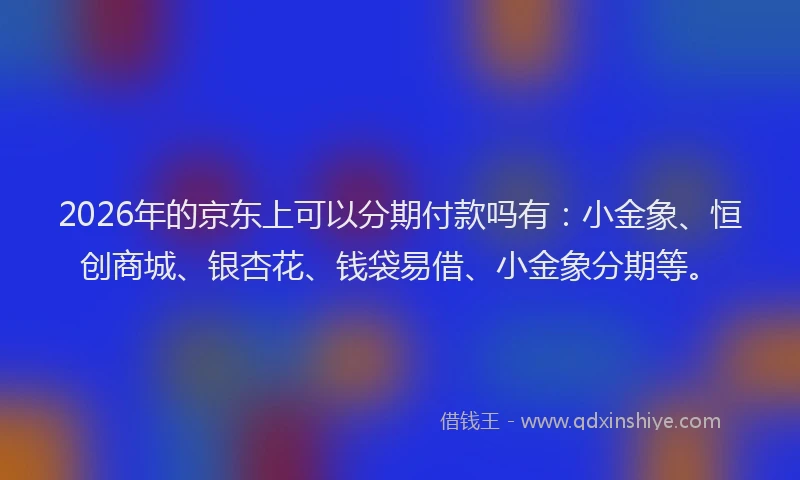 2026年的京东上可以分期付款吗有:小金象、恒创商城、银杏花、钱袋易借、小金象分期等。