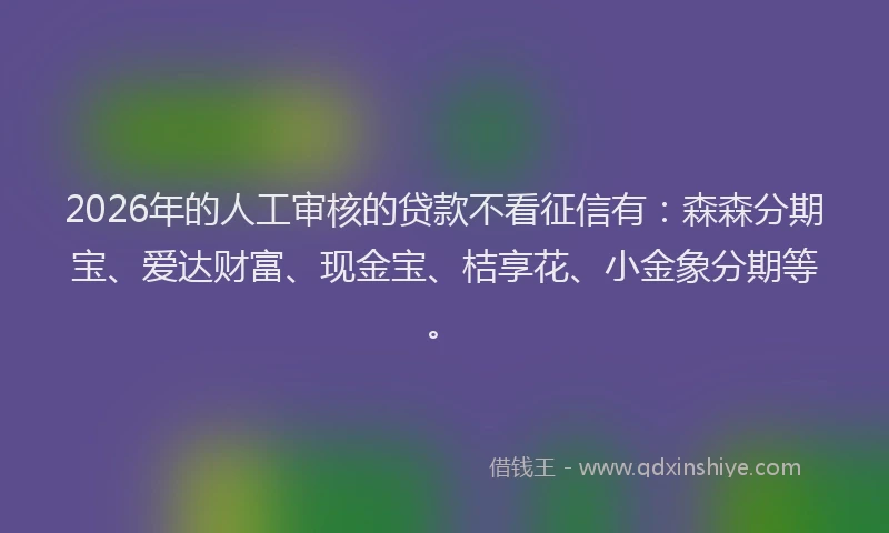 2026年的人工审核的贷款不看征信有：森森分期宝、爱达财富、现金宝、桔享花、小金象分期等。