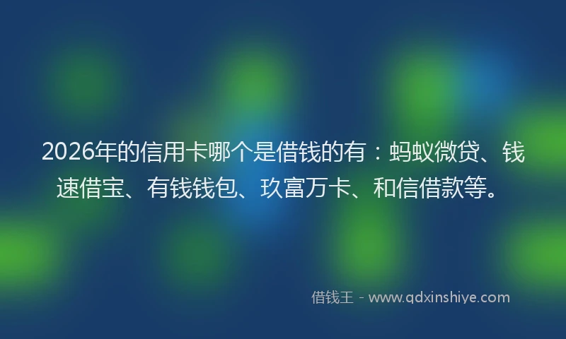 2026年的信用卡哪个是借钱的有：蚂蚁微贷、钱速借宝、有钱钱包、玖富万卡、和信借款等。