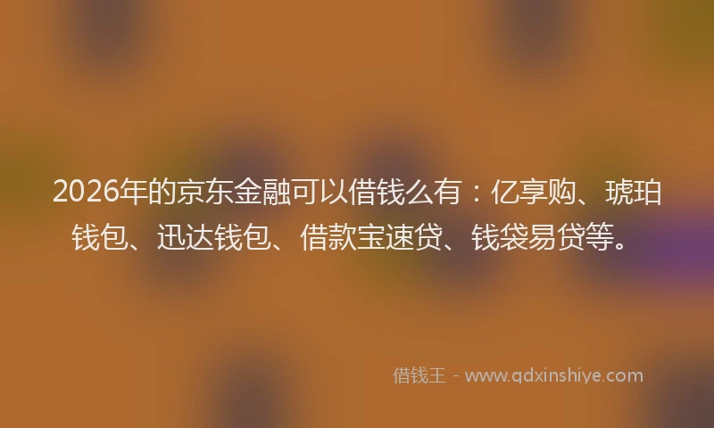 2026年的京东金融可以借钱么有：亿享购、琥珀钱包、迅达钱包、借款宝速贷、钱袋易贷等。
