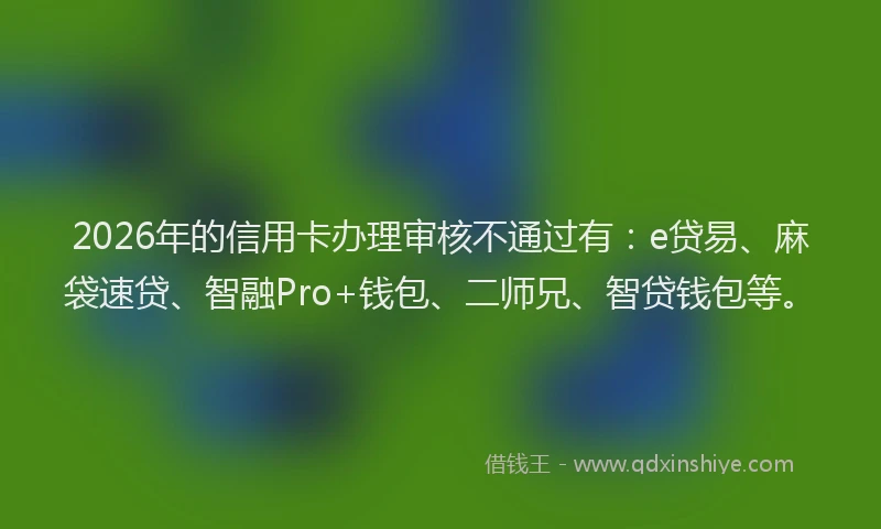 2026年的信用卡办理审核不通过有：e贷易、麻袋速贷、智融Pro+钱包、二师兄、智贷钱包等。