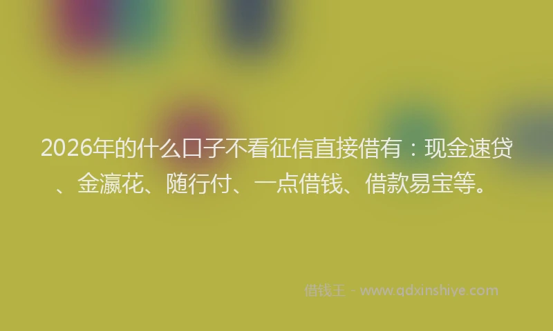 2026年的什么口子不看征信直接借有：现金速贷、金瀛花、随行付、一点借钱、借款易宝等。