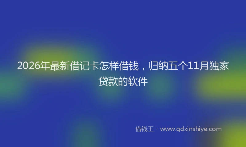 2026年最新借记卡怎样借钱，归纳五个11月独家贷款的软件