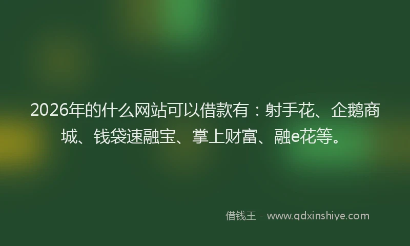 2026年的什么网站可以借款有：射手花、企鹅商城、钱袋速融宝、掌上财富、融e花等。