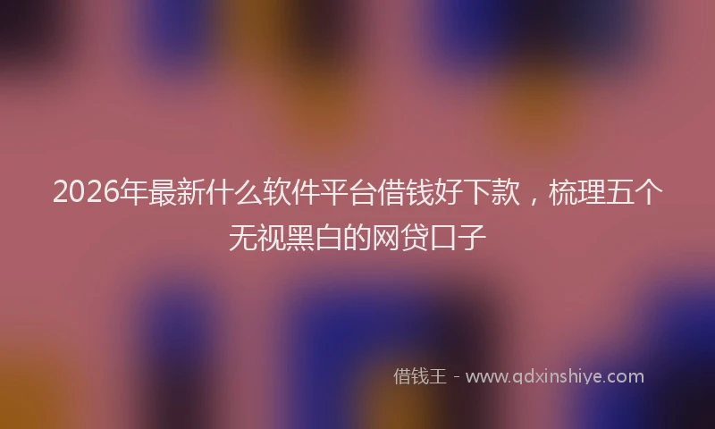 2026年最新什么软件平台借钱好下款,梳理五个无视黑白的网贷口子