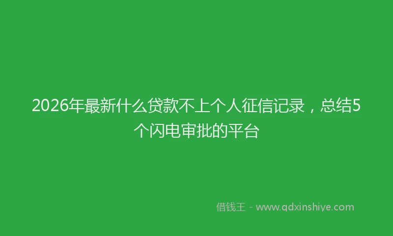 2026年最新什么贷款不上个人征信记录,总结5个闪电审批的平台