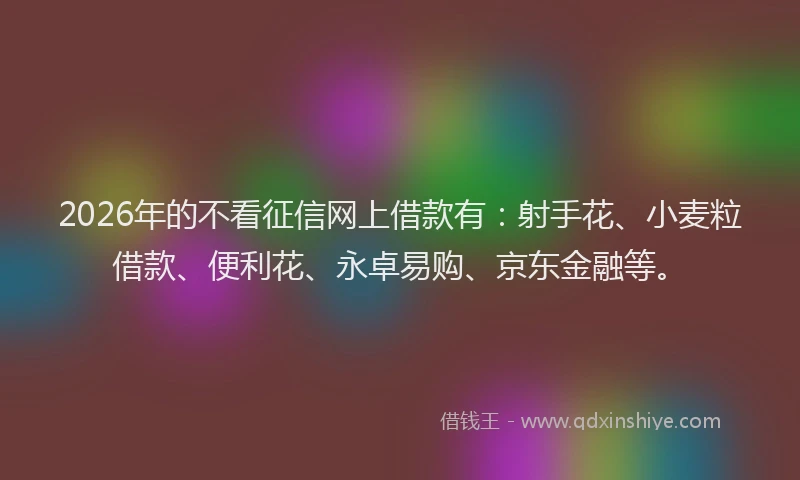 2026年的不看征信网上借款有：射手花、小麦粒借款、便利花、永卓易购、京东金融等。