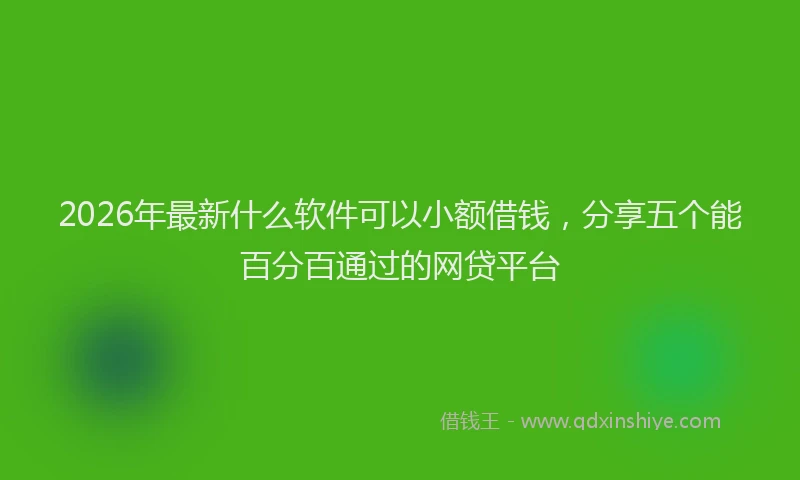 2026年最新什么软件可以小额借钱，分享五个能百分百通过的网贷平台