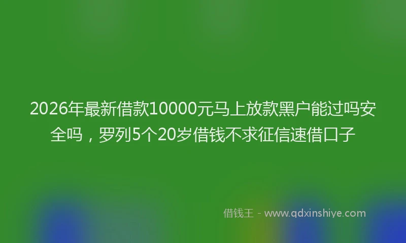 2026年最新借款10000元马上放款黑户能过吗安全吗，罗列5个20岁借钱不求征信速借口子