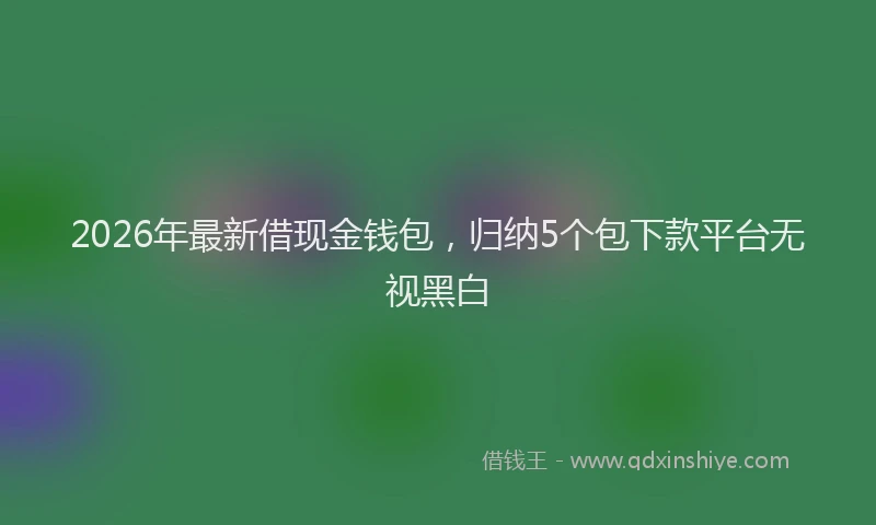 2026年最新借现金钱包，归纳5个包下款平台无视黑白