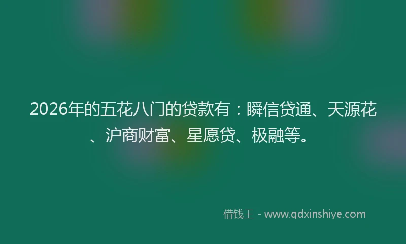 2026年的五花八门的贷款有：瞬信贷通、天源花、沪商财富、星愿贷、极融等。