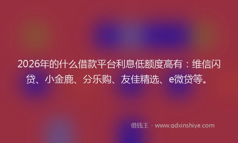 2026年的什么借款平台利息低额度高有:维信闪贷、小金鹿、分乐购、友佳精选、e微贷等。