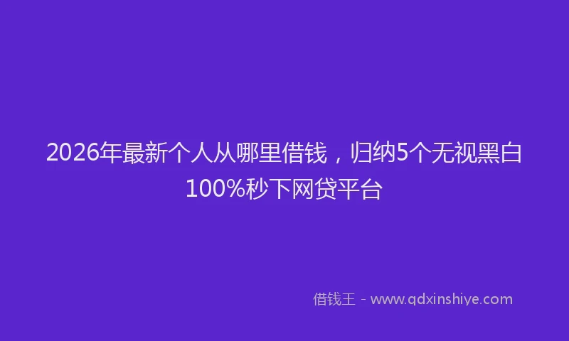 2026年最新个人从哪里借钱，归纳5个无视黑白100%秒下网贷平台