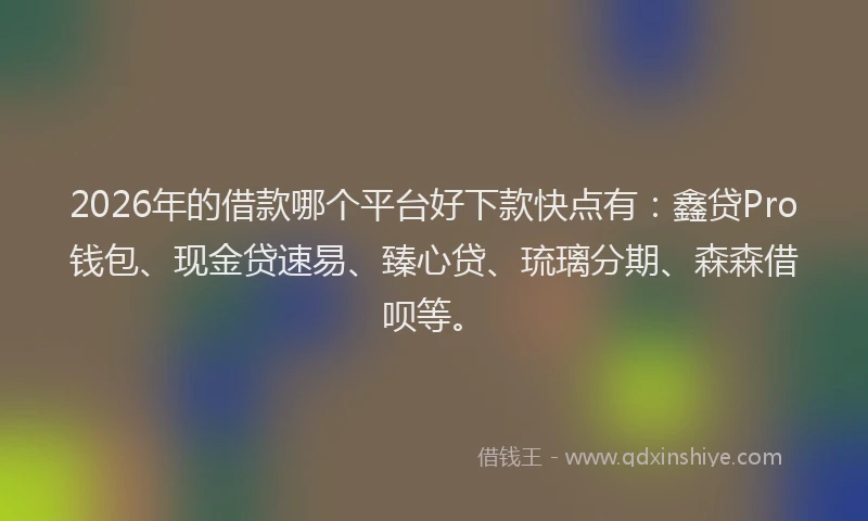 2026年的借款哪个平台好下款快点有：鑫贷Pro钱包、现金贷速易、臻心贷、琉璃分期、森森借呗等。