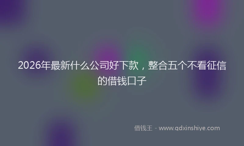 2026年最新什么公司好下款，整合五个不看征信的借钱口子