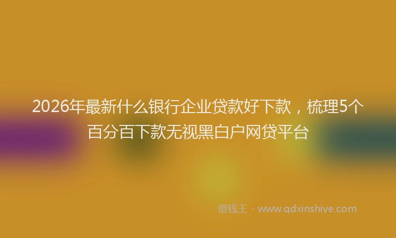 2026年最新什么银行企业贷款好下款,梳理5个百分百下款无视黑白户网贷平台
