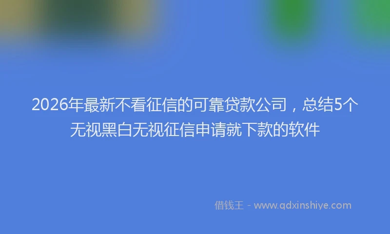 2026年最新不看征信的可靠贷款公司,总结5个无视黑白无视征信申请就下款的软件