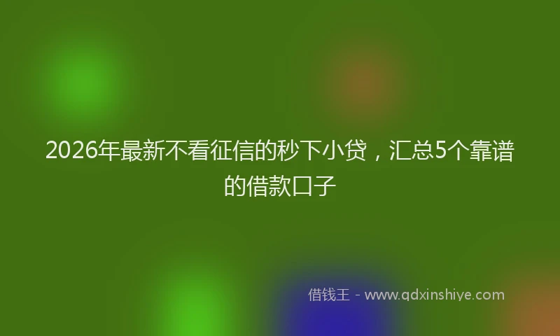 2026年最新不看征信的秒下小贷，汇总5个靠谱的借款口子