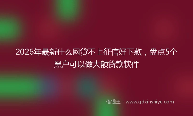 2026年最新什么网贷不上征信好下款,盘点5个黑户可以做大额贷款软件