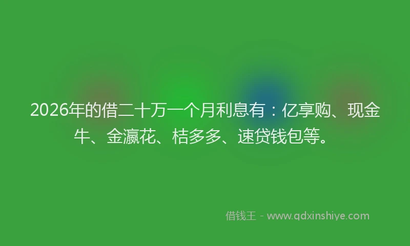 2026年的借二十万一个月利息有：亿享购、现金牛、金瀛花、桔多多、速贷钱包等。