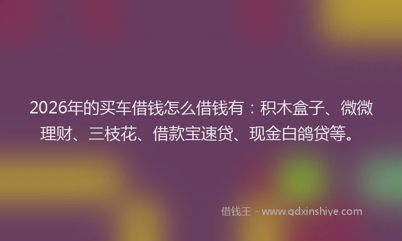 2026年的买车借钱怎么借钱有：积木盒子、微微理财、三枝花、借款宝速贷、现金白鸽贷等。