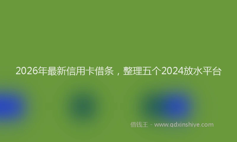 2026年最新信用卡借条，整理五个2024放水平台