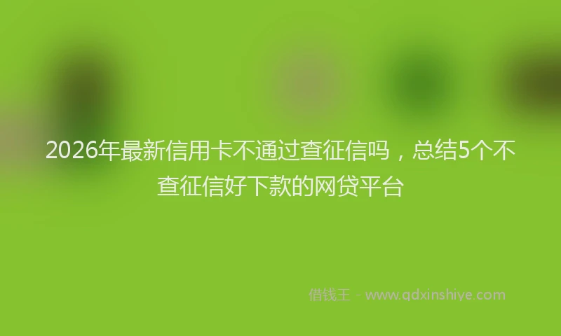 2026年最新信用卡不通过查征信吗，总结5个不查征信好下款的网贷平台